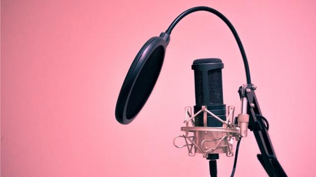 Why Hire a Professional Voice Actor for Your Business?